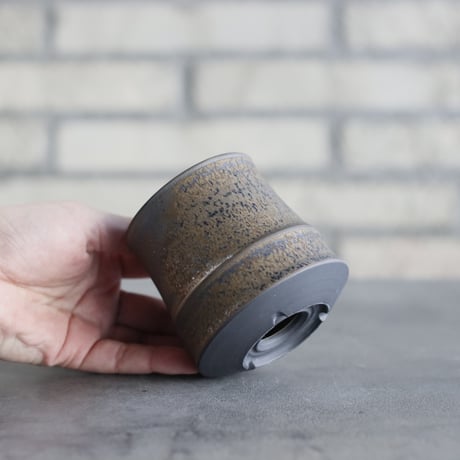 Yuta Uchida / gold rust (3号鉢)  no.125-14