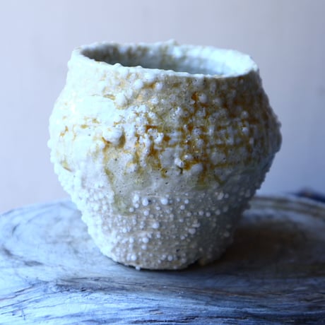 HAKASEPOT   SHIROTSUBU  /  ivory     no.21603