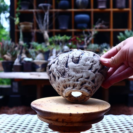 Ricca Okano 〝noon moon″   /   humanity pot       no.566