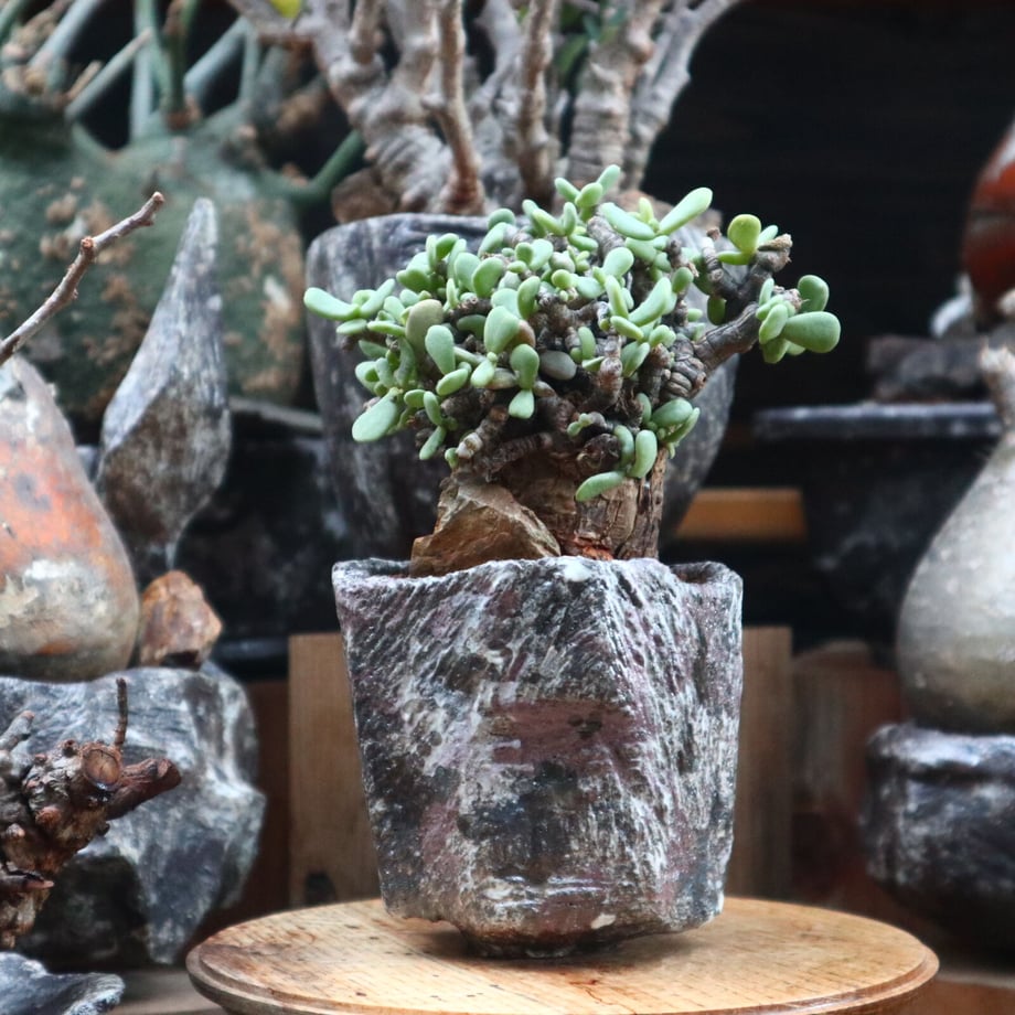 639e4dfda876db205a2bb2e2