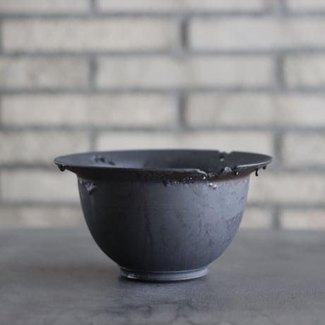 CATEGORY 6号鉢 | 芽の巣山