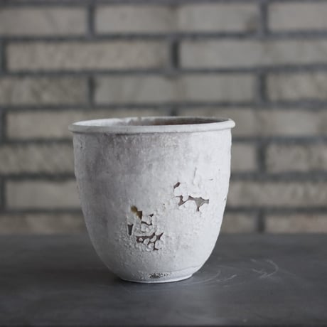 CATEGORY 5号鉢 | 芽の巣山