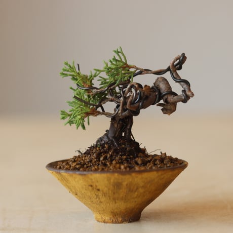 真柏 / YOSHIZAWA3-SHOHINBONSAI   no.223-23