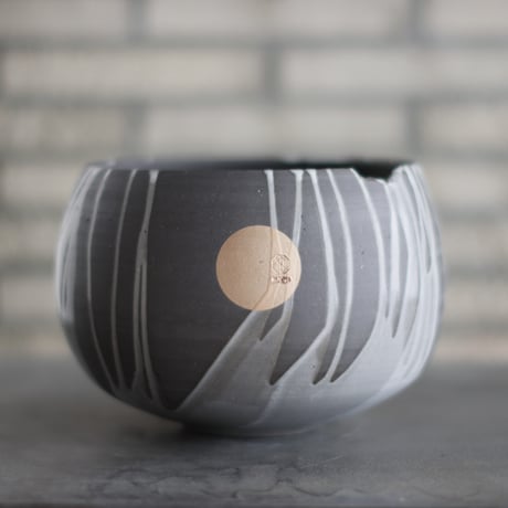 CATEGORY 大鉢 | 芽の巣山