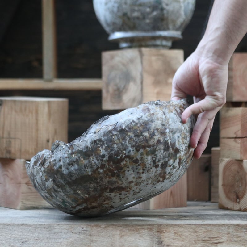 たけろうポット / 大鉢 / シロサビ+ミドリ【イベント限定鉢】(B