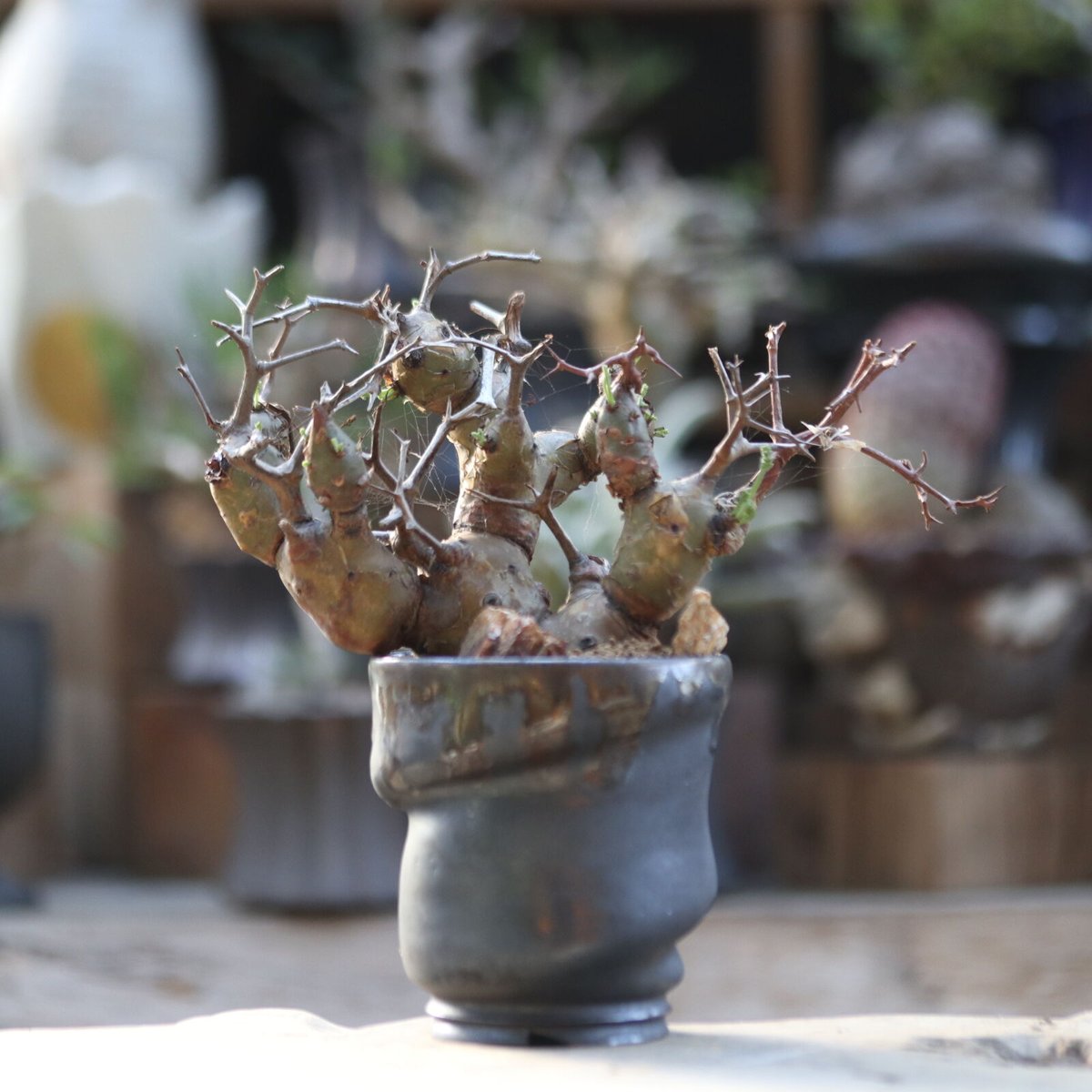 fit=scale-down,w=1200