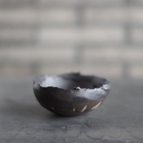 CATEGORY たけろうポット | 芽の巣山