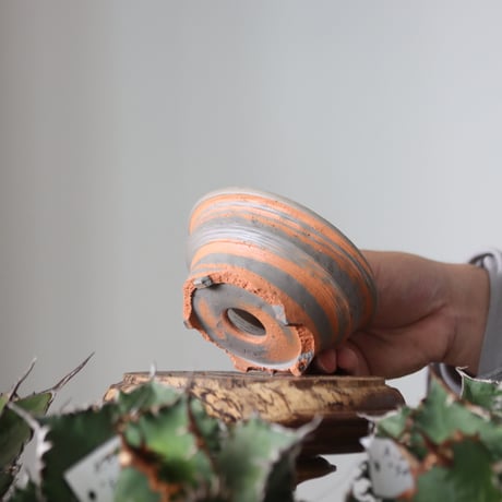 N/OH / MARBLE NOHBLE / M12 / XS    no.421-22