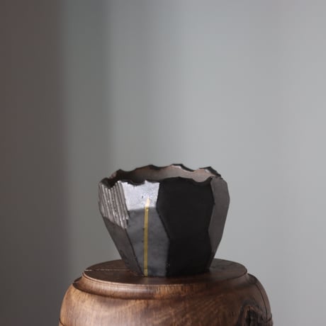 CATEGORY 2024/1/2 11:00~ | 芽の巣山