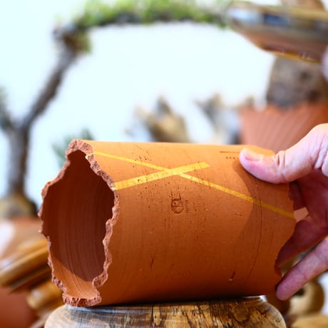 N/OH / Cylinder / Persimmon + Line / S    no.317-39