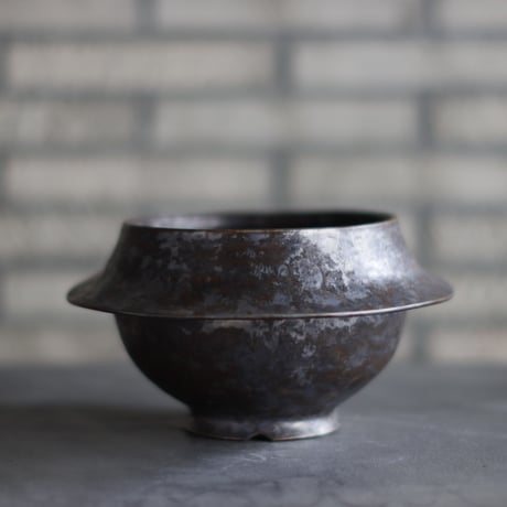 CATEGORY 大鉢 | 芽の巣山
