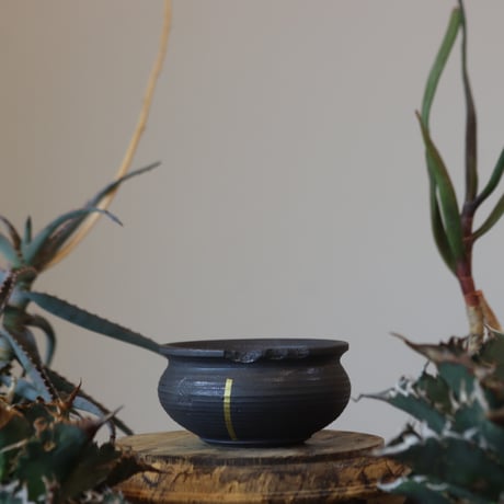 CATEGORY 2024/9/29 20:00~ | 芽の巣山