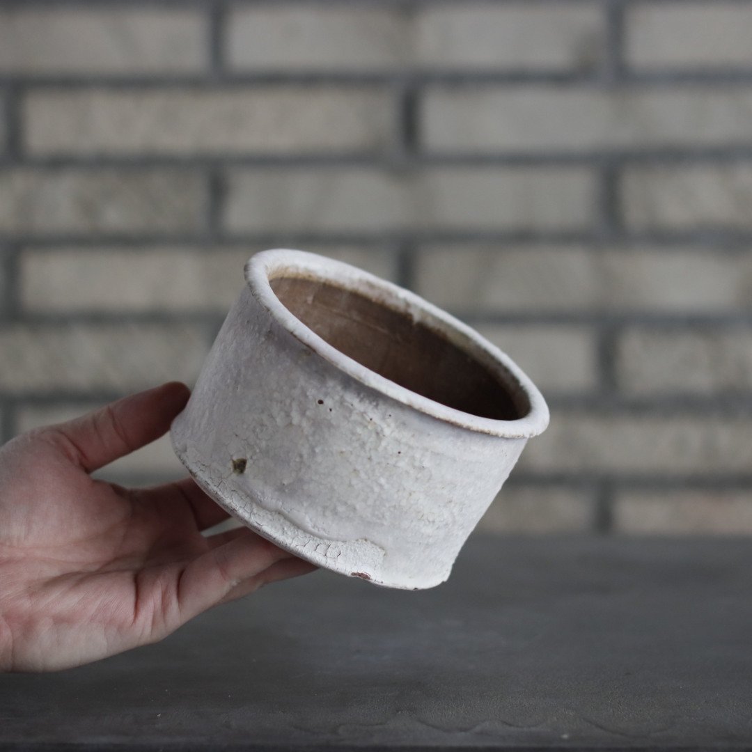 Shin Tabata / PLANETX (4号) no.301-25 | 芽の巣山