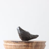 N/OH［澪標-芽の巣山別注］山ノ月ブラック　Mサイズ N/OH【澪標-芽の巣山別注】山ノ月ブラック+ moon / M no.51529 |