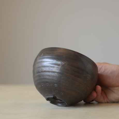 Yuta Uchida / auburns (4号鉢)  no.330-56
