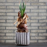 たけろうポット、　ちぎり、　白サビＳ たけろうポット / ちぎり/ 白サビ / ツブ / S no.211-20 | 芽の巣山