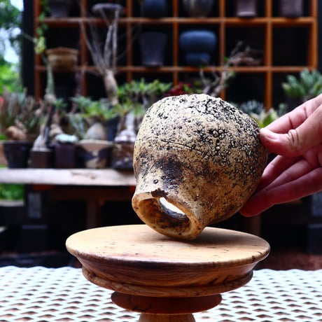 Kaori  Ono 〝 gaia″   /   humanity pot       no.526