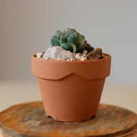 たけろうポット 大鉢 / 壺 / シロサビ no.1226-02 | 芽の巣山