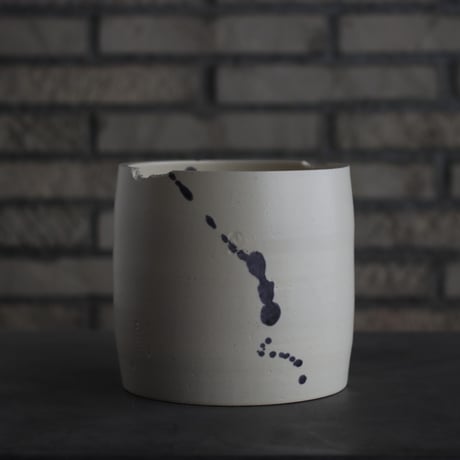 CATEGORY 5号鉢 | 芽の巣山