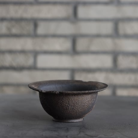 CATEGORY たけろうポット | 芽の巣山