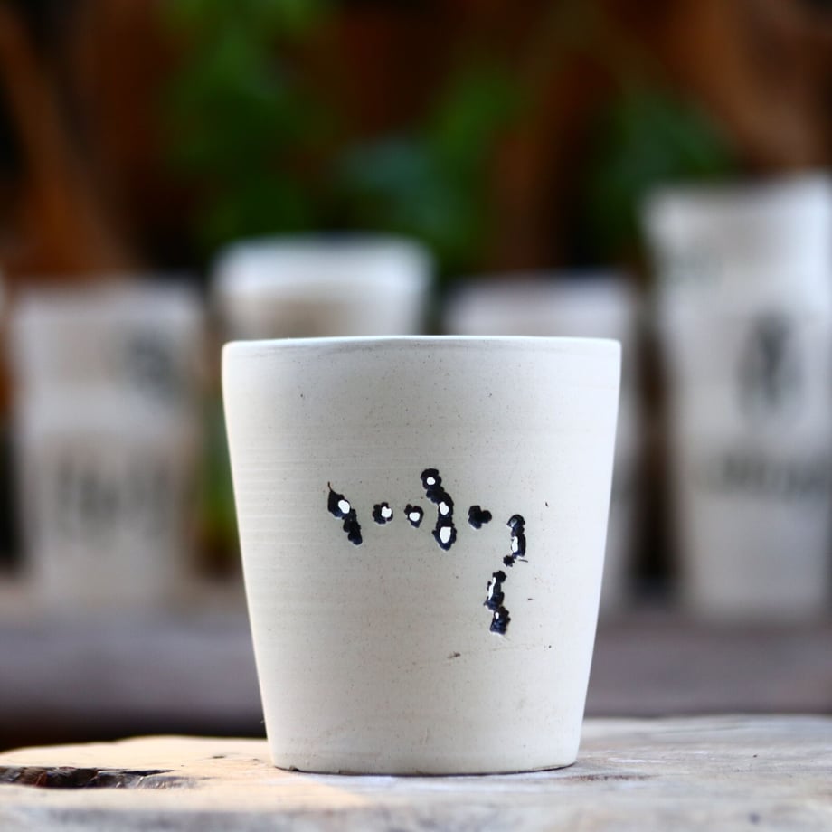 63f0f7b4d77a6f534e5d9c07