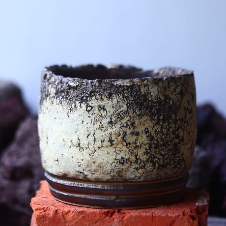 Kaori  Ono 〝gaia″   /   humanity pot       no.42512