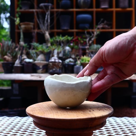 Mie  Maeda 〝blanco″   /   humanity pot       no.531
