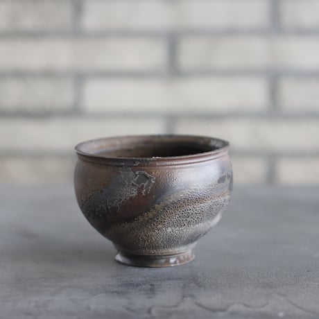 CATEGORY 4号鉢 | 芽の巣山