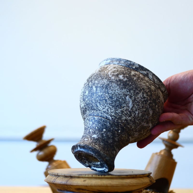 たけろうポット / シロサビ no.702-17 | 芽の巣山