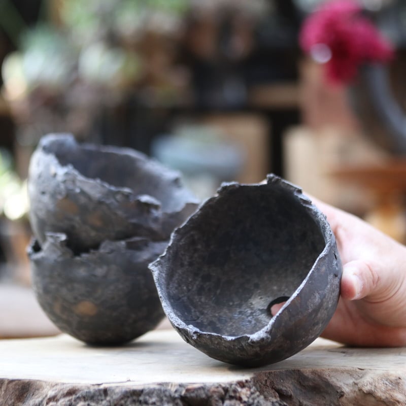 たけろうポット／クロサビ／チギリ／M no.1106-46 | 芽の巣山