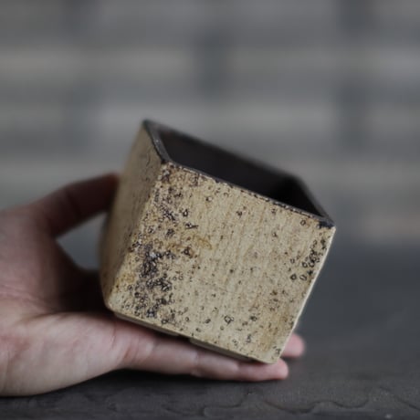 Kaori Ono / gaia / humanity pot (2.5号)  no.831-103