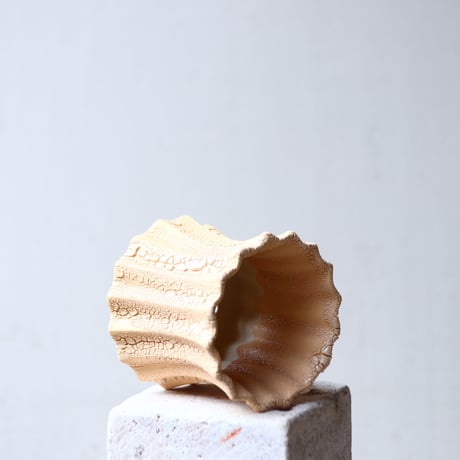 Rintaro Nonaka〝soso/礎礎 ″  Be.reef  / M-long     no.313-31