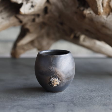 TAKERO POT / Tetsu  (2号)   no.525-103