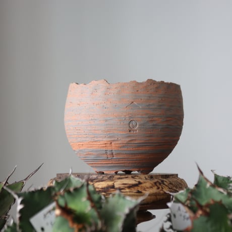 N/OH / MARBLE NOHBLE / コロ鉢 / S   no.421-34