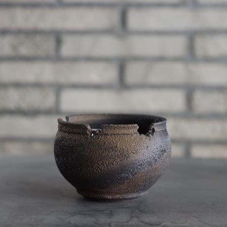 CATEGORY たけろうポット | 芽の巣山