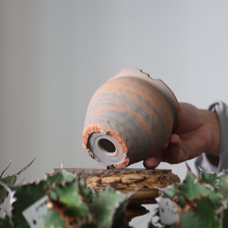 N/OH / MARBLE NOHBLE / コロ鉢 / SS   no.421-51