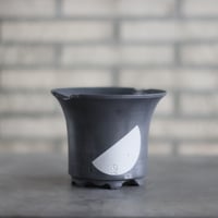 パキポディウム　グラキリス　たけろうポット白サビ パキポディウム グラキリス たけろうポット白サビ fit=scale-down,w=1200