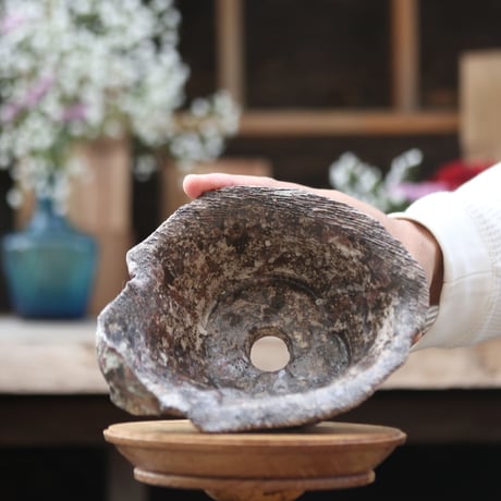 【TENN】Pot / TAKERO POT  no.1225/81
