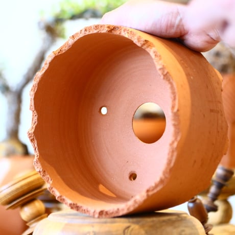 N/OH / Cylinder / Persimmon + Line / M    no.317-41