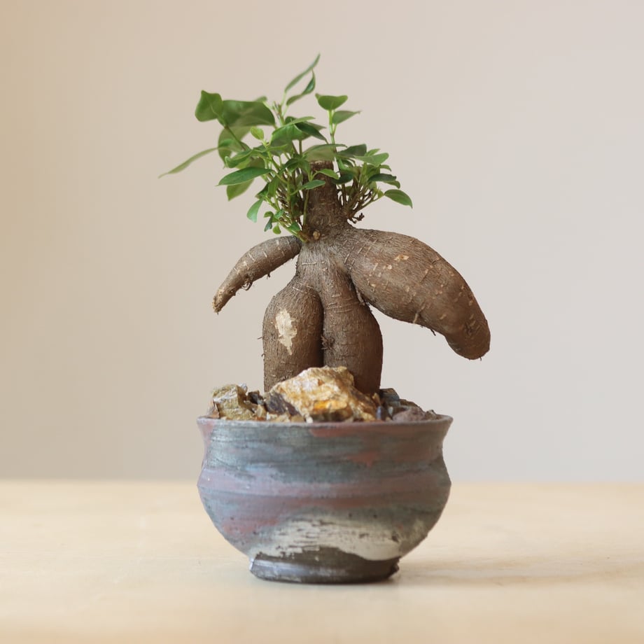67ca62b03a6cff8db9999882