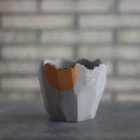 たけろうポット/ チギリ / シブスミ / S no.623-25 | 芽の巣山