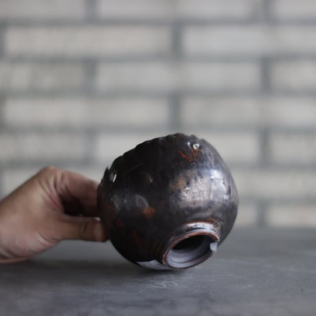 Shu Hirai -Connecting Rajasan and The Sun- / PLANETX (4号)  no.511-46