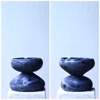 【現品】デロニクス・デカリー　Delonix decaryi　10号　４T番 現品】デロニクス・デカリー Delonix decaryi 10号 4T番