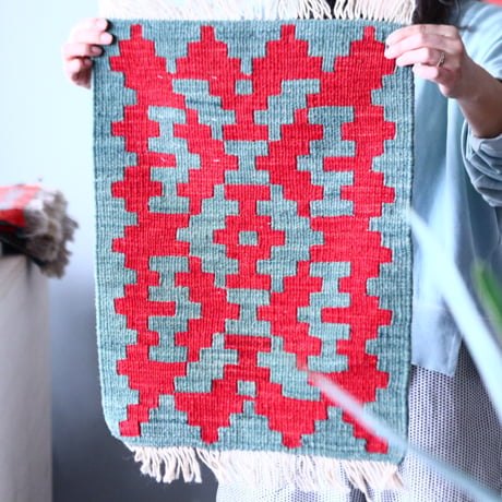 【FARSHINA】Persian Kilim / キリム  no.218/19