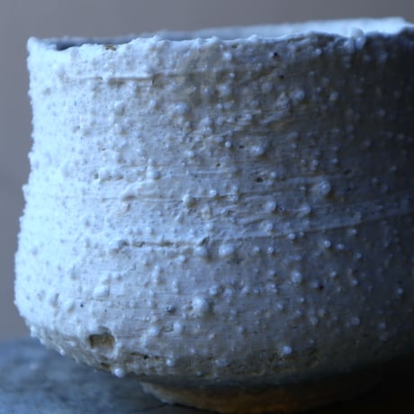 HAKASEPOT   SHIROTSUBU  / white     no.21609