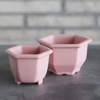 Konect / nos pot / Sakura  no.628-2