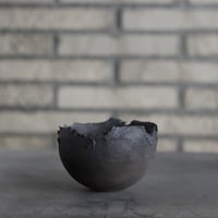 ユーフォルビア ポンデローサ Euphorbia ponderosa no.013 | 芽の巣山