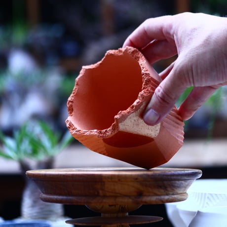 N/OH   澪標  SS  / Persimmon + Moon    no.926/31