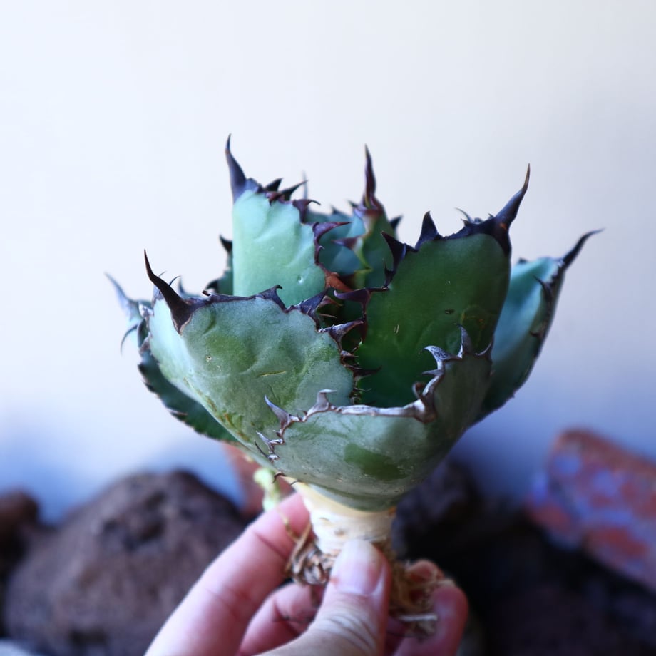 5e61f22e68c46268a0534ccb