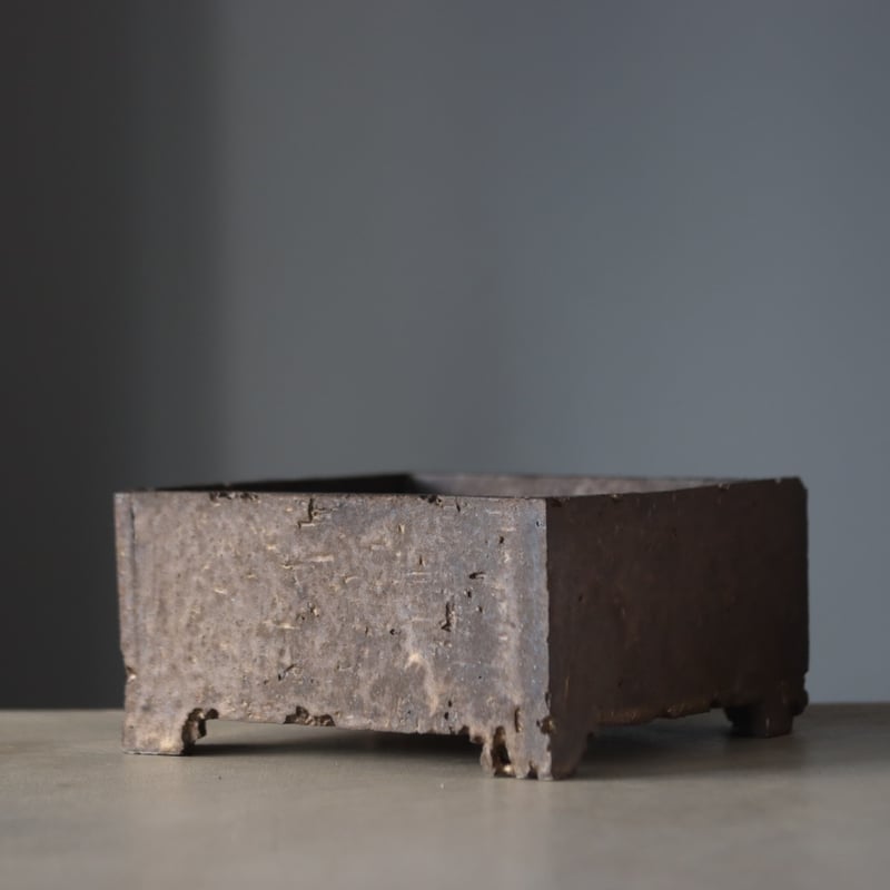 たけろうポット/ 角鉢 / ムシクイ / テツ / Big no.105-74 | 芽